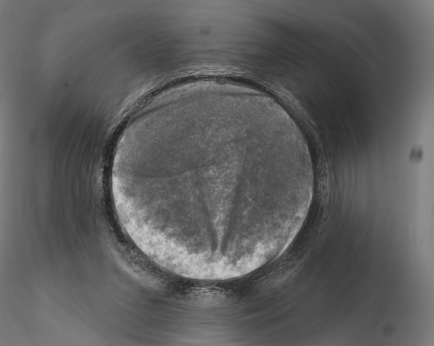 X0000114690207200912021053