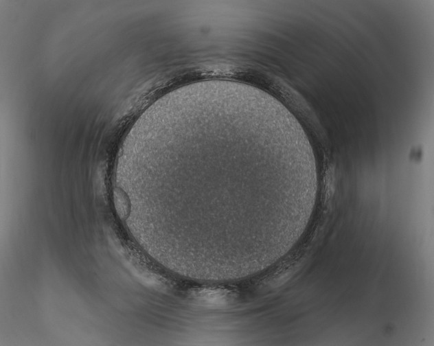 X0000114690209200912021053