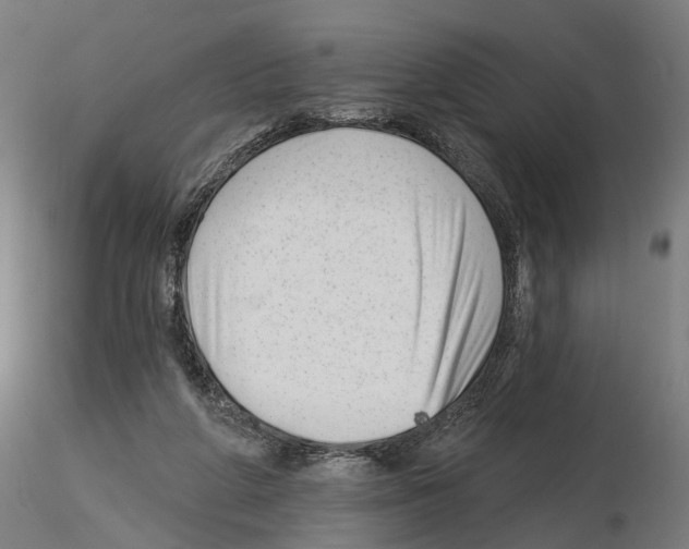 X0000114690210200912021053