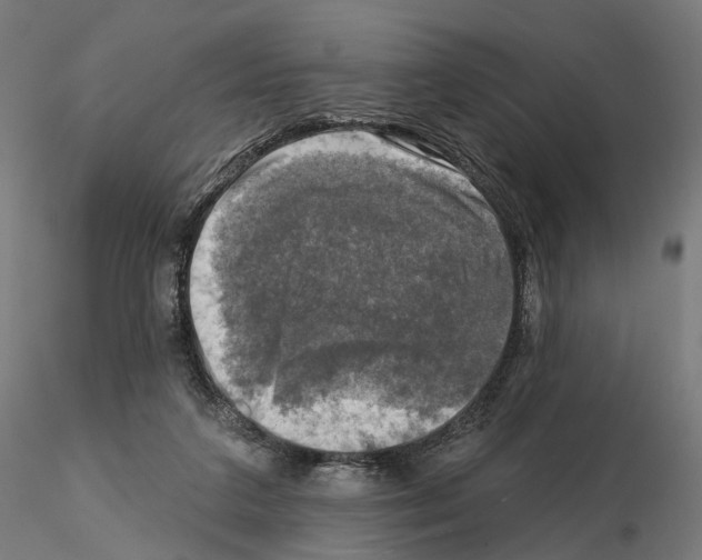 X0000114690211200912021053