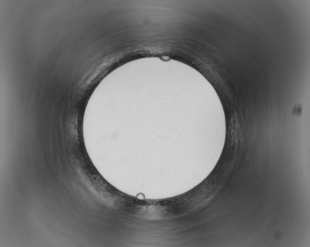 X0000114690212200912021053