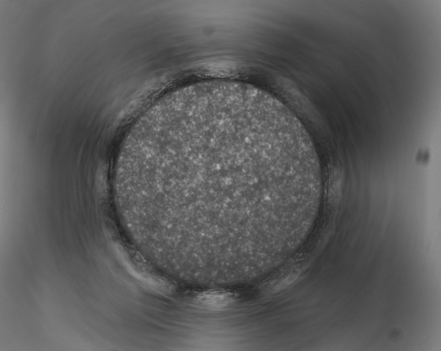 X0000114690213200912021053