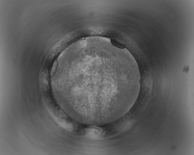X0000114690215200912021053
