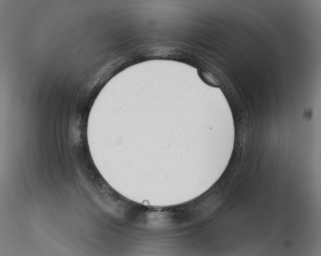 X0000114690216200912021053