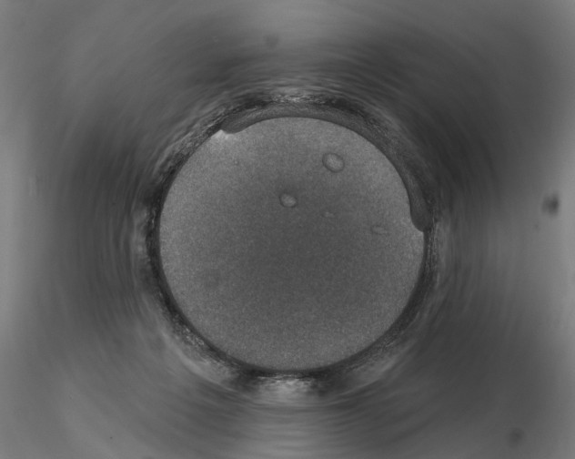X0000114690217200912021053