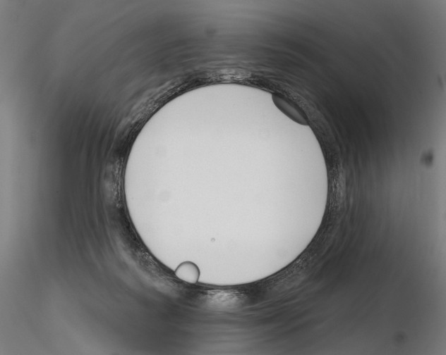 X0000114690218200912021052
