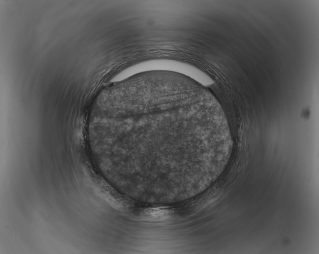 X0000114690219200912021052