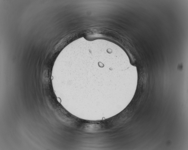 X0000114690220200912021052