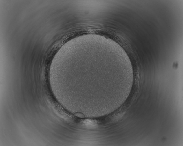 X0000114690221200912021052