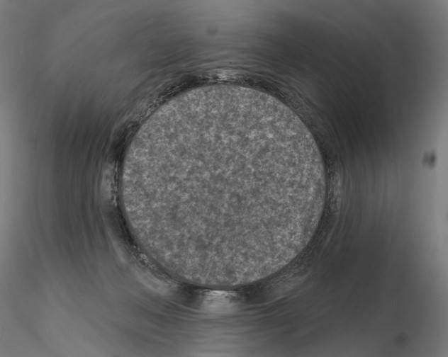 X0000114690222200912021052
