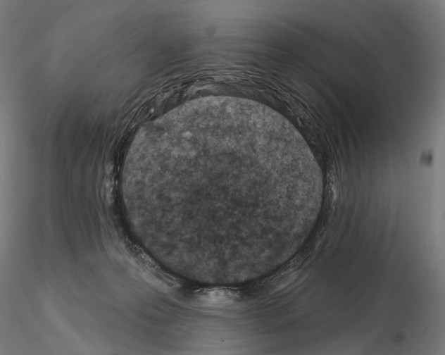 X0000114690223200912021052