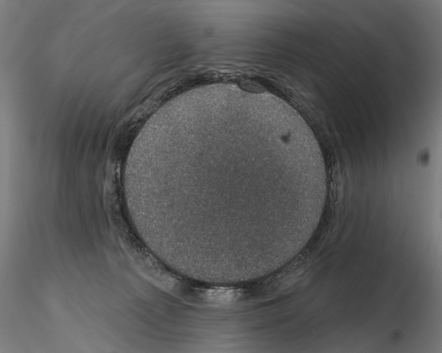 X0000114690225200912021052