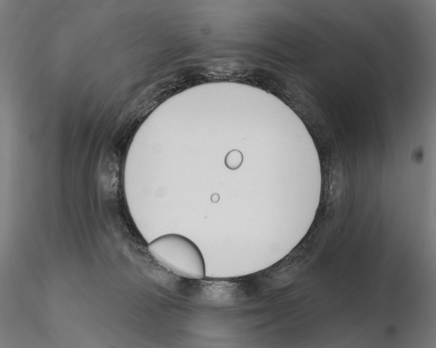X0000114690226200912021052