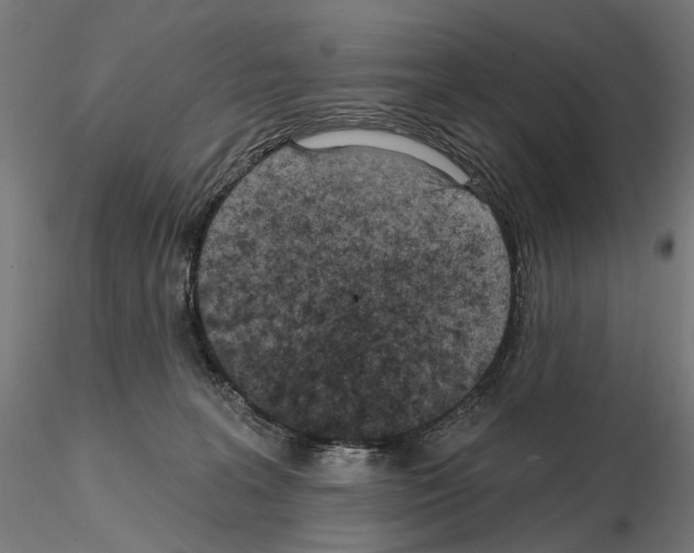 X0000114690227200912021052