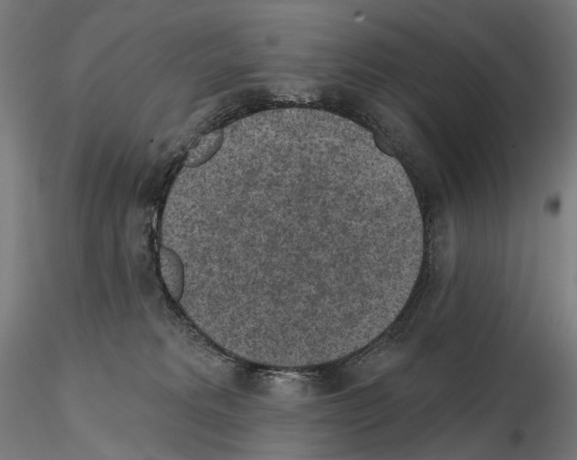 X0000114690229200912021052