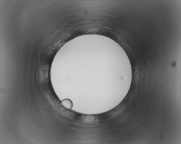 X0000114690230200912021052