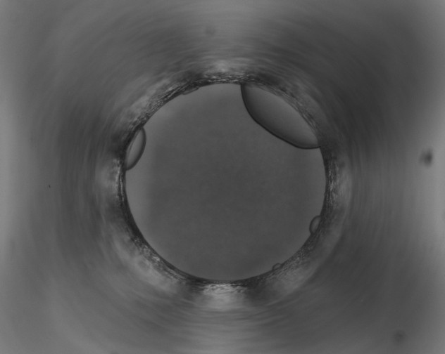 X0000114690231200912021052