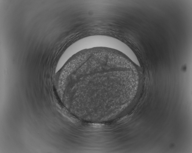 X0000114690233200912021052
