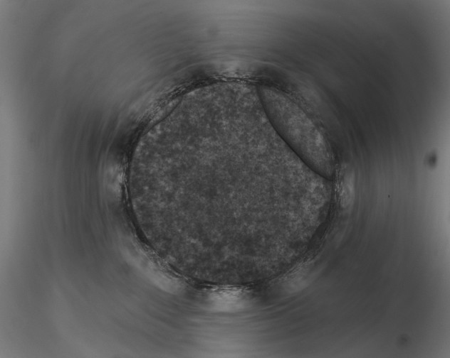 X0000114690235200912021052