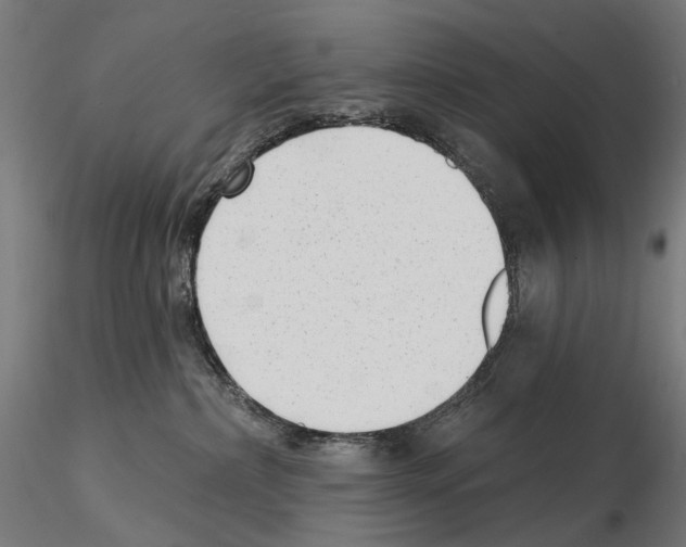 X0000114690236200912021052
