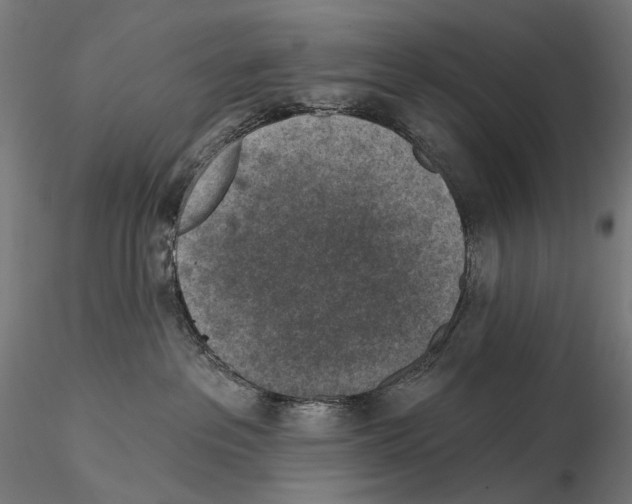X0000114690237200912021052