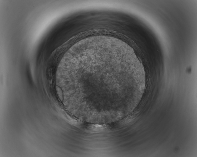 X0000114690239200912021052