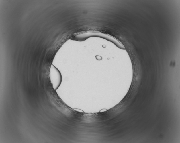 X0000114690240200912021052