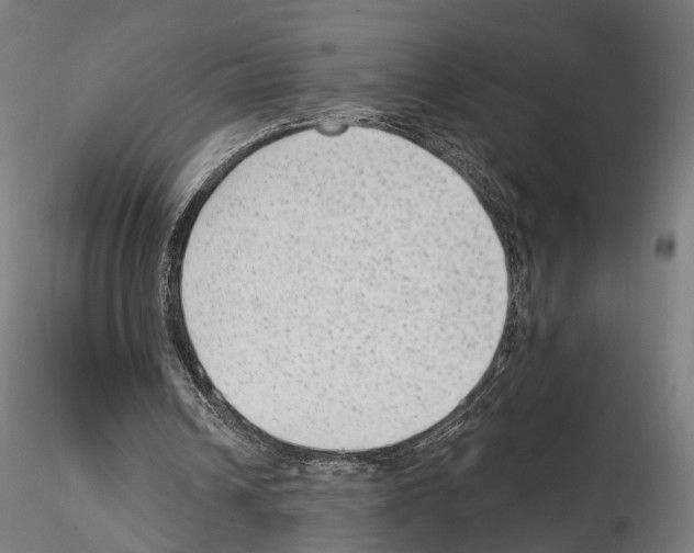 X0000114690242200912021052