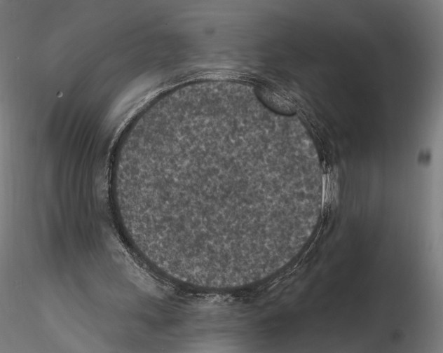 X0000114690243200912021052