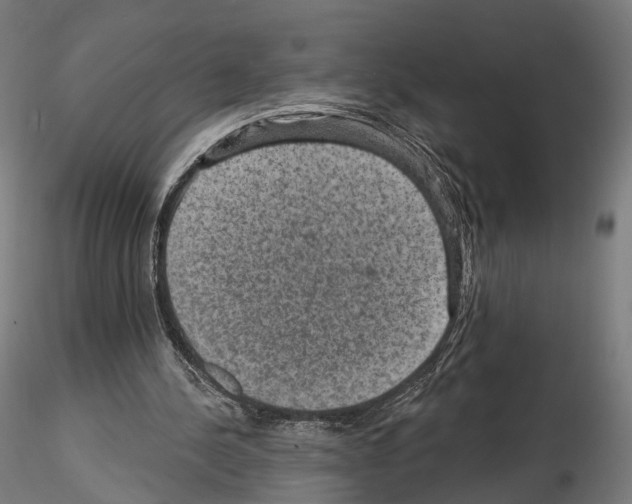 X0000114690244200912021052