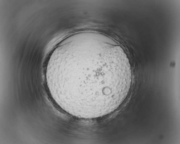 X0000114690245200912021052