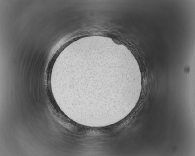 X0000114690246200912021052
