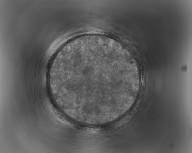 X0000114690247200912021052