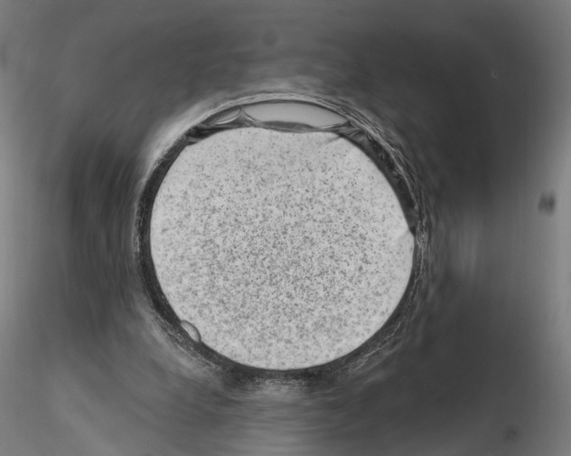 X0000114690248200912021052