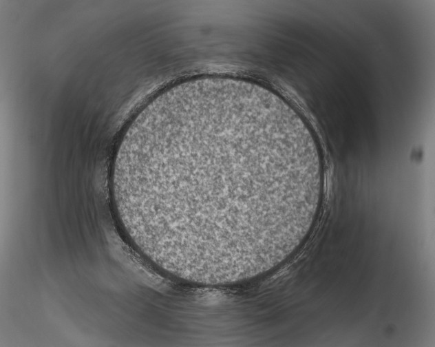 X0000114690249200912021052