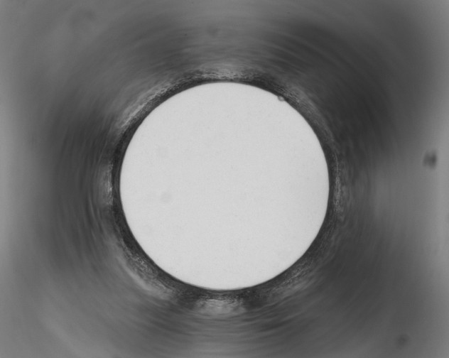 X0000114690251200912021052