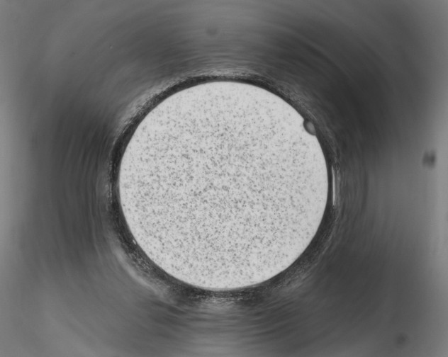 X0000114690252200912021052