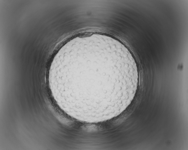 X0000114690253200912021052