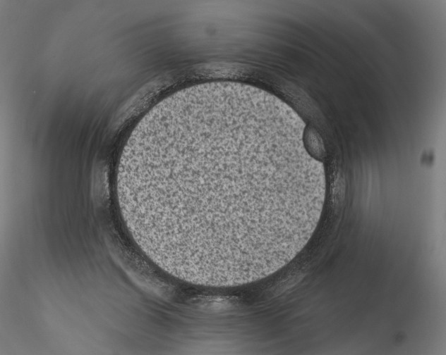 X0000114690254200912021052