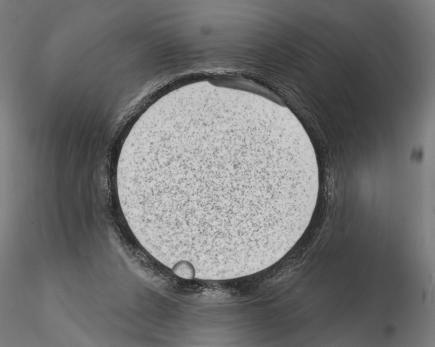 X0000114690256200912021052