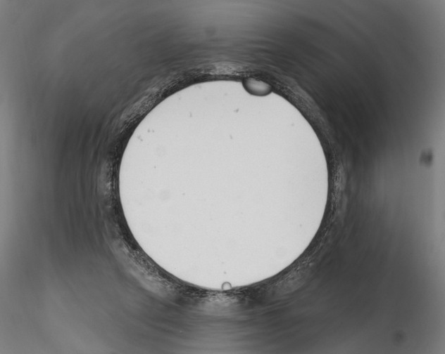 X0000114690257200912021052