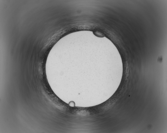 X0000114690258200912021052