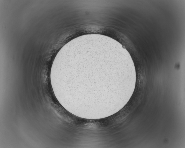 X0000114690259200912021052