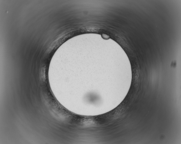 X0000114690262200912021052