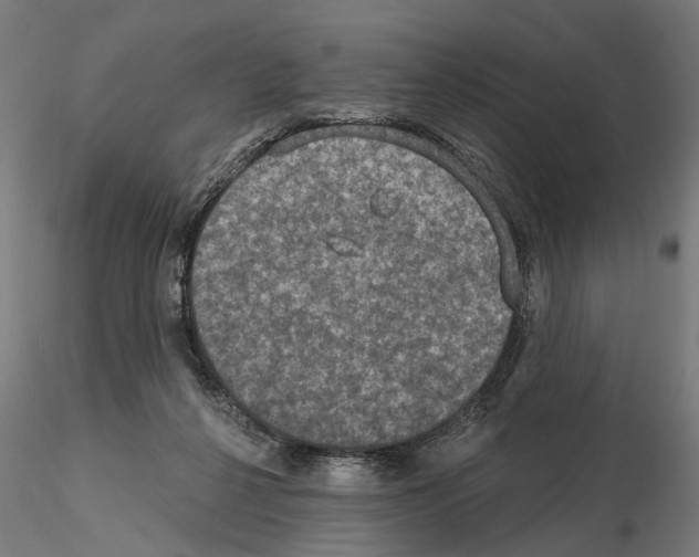 X0000114690264200912021052