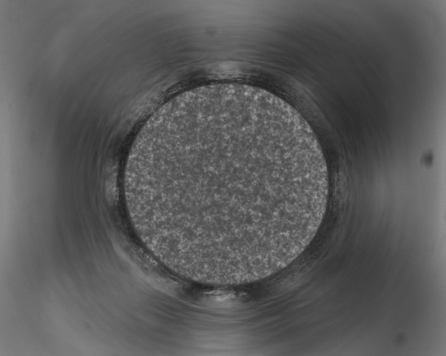 X0000114690267200912021052