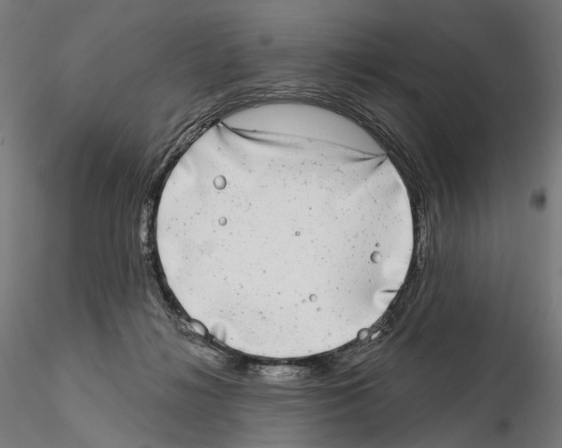 X0000114690268200912021052