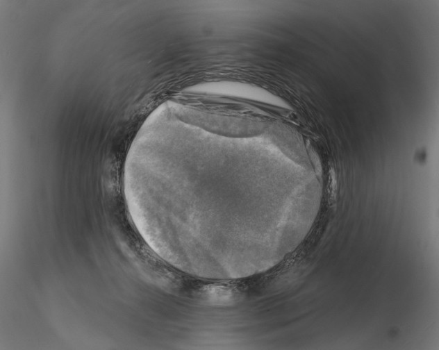 X0000114690272200912021052
