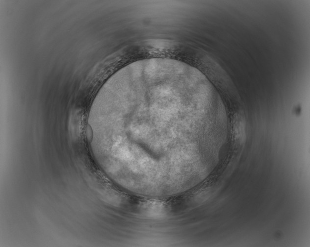 X0000114690276200912021052