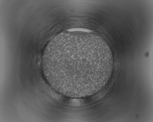 X0000114690277200912021052